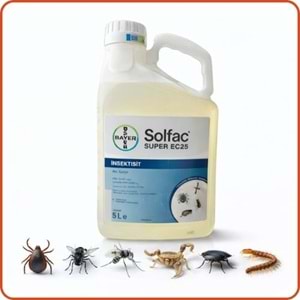 Bayer-Envu Solfac Süper EC 25 Kokulu Haşere İlacı | 5 Litre