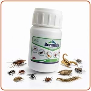 Bermuda EW Kokulu Haşere İlacı | 250 Ml
