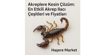 Akreplere Kesin Çözüm: En Etkili Akrep İlacı Çeşitleri ve Fiyatları | Haşere Market