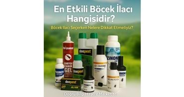 En Etkili Böcek İlacı Hangisidir?