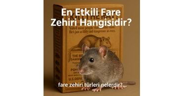 En Etkili Fare Zehiri Hangisidir?