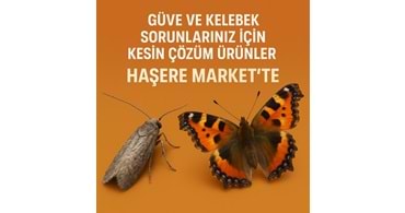 Güve ve Kelebek Sorunlarınız İçin Kesin Çözüm Ürünler Haşere Market te