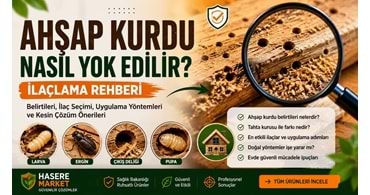 Ahşap Kurdu Nasıl Yok Edilir? İlaçlama Rehberi