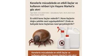 Kenelerle mücadelede en etkili ilaçlar ve kullanım rehberi için Haşere Market e göz atın!