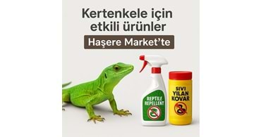 Kertenkele Sorunlarınız İçin Kesin Çözüm Ürünler Haşere Market te