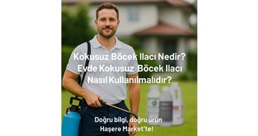 Evde Kokusuz Böcek İlaçlaması Nasıl Yapılır?