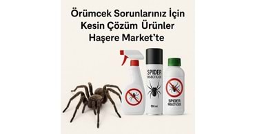 Örümcek Sorunlarınız İçin Kesin Çözüm Ürünler Haşere Market te