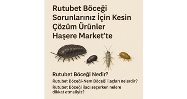 Rutubet Böceği Sorunlarınız İçin Kesin Çözüm Ürünler Haşere Market te
