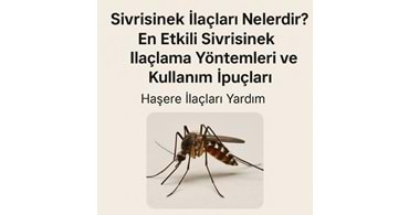 Sivrisinek İlaçları Nelerdir? En Etkili Sivrisinek İlaçlama Yöntemleri ve Kullanım İpuçları