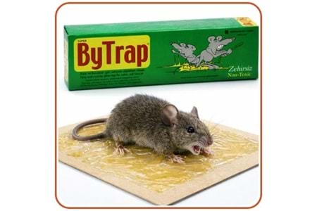 Bytrap Tüp Fare Yapışkan Tuzak | 75 ml