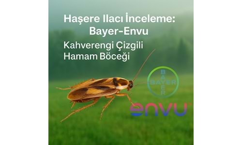 Bayer-Envu Haşere İlaçları | Kahverengi Çizgili Hamam Böceği | Hakkında