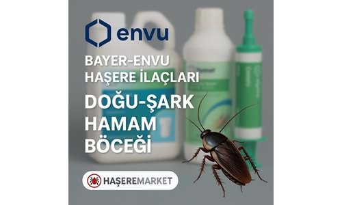 Bayer-Envu Haşere İlaçları | Doğu-Şark Hamam Böceği | Hakkında