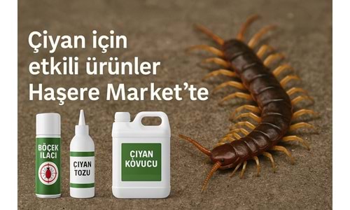 Çiyan Sorunlarınız İçin Kesin Çözüm Ürünler Haşere Market te