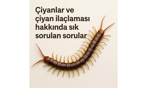 Çiyani İlaçları ve Çiyan İlaçlaması Hakkında Sıkça Sorulan Sorular ve Cevapları