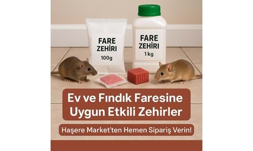 Ev ve Fındık Fareleri İçin En Etkili Fare Zehirleri: Çeşitler, Kullanım Bilgileri, Çözüm Önerileri