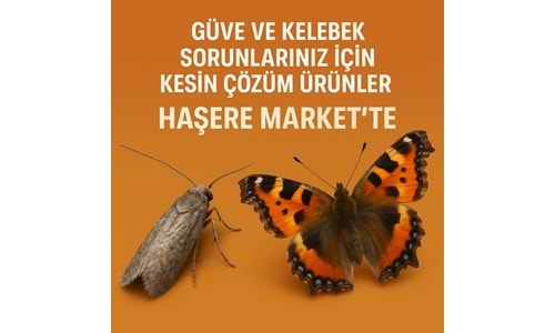 Güve ve Kelebek Sorunlarınız İçin Kesin Çözüm Ürünler Haşere Market te