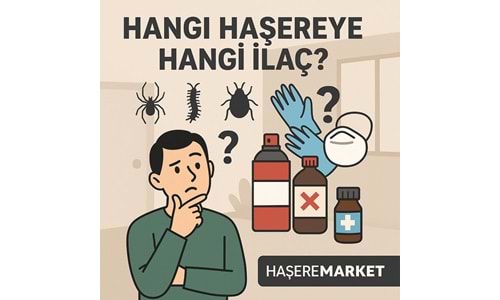 Hangi Haşere İçin Hangi İlacı Kullanmalıyız?