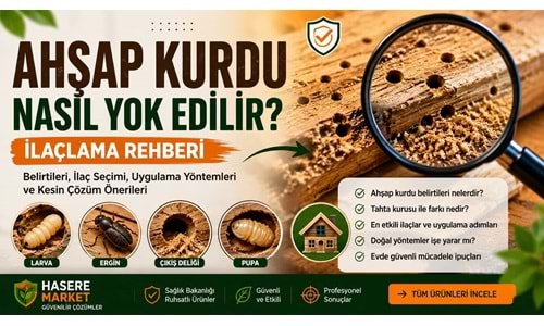 Ahşap Kurdu Nasıl Yok Edilir? İlaçlama Rehberi