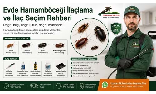 Evde Hamamböceği İlaçlama ve İlaç Seçim Rehberi