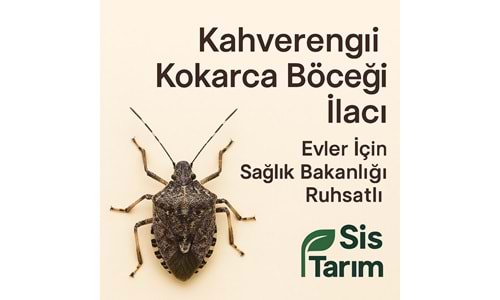 Kahverengi Kokarca Böceği İlacı | Evler İçin Sağlık Bakanlığı Ruhsatlı | Sis Tarım dan