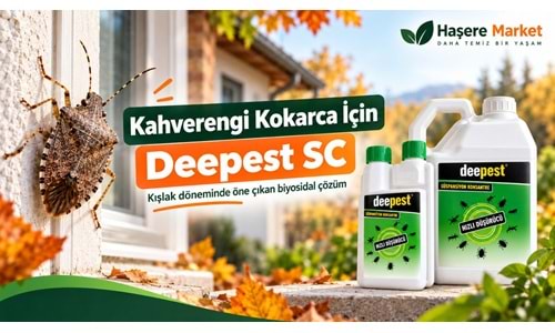 Kahverengi Kokarca İstilası 2026: Deepest SC Kokarca İlacı