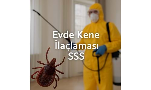 Evde Kene İlaçlaması Hakkında Sıkça Sorulan Sorular