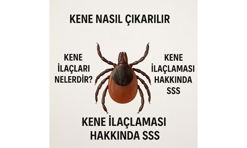 Keneler, Kene İlaçları ve Kene İlaçlaması Hakkında Sıkça Sorulan Sorular ve Cevapları