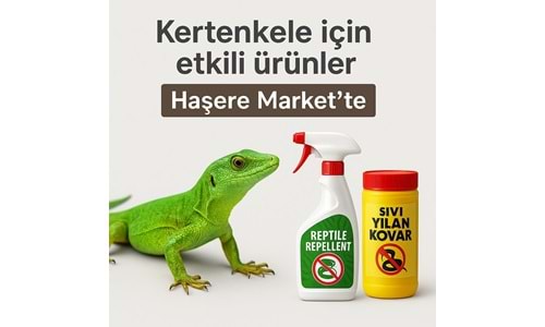 Kertenkele Sorunlarınız İçin Kesin Çözüm Ürünler Haşere Market te