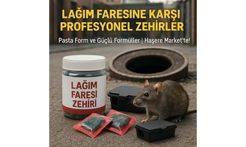 Lağım Faresi Zehirleri: En İyi Markalar ve Çeşitler - Haşere Market