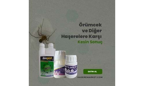 Etkili Haşere Öldürücüler: Örümcek ve Diğer Haşerelere Karşı Kesin Sonuç