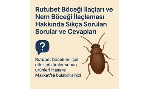 Rutubet Böceği İlaçları ve Nem Böceği İlaçlaması Hakkında Sıkça Sorulan Sorular ve Cevapları