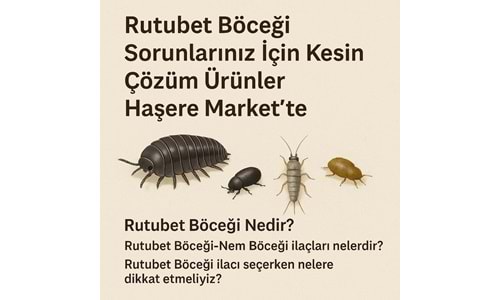 Rutubet Böceği Sorunlarınız İçin Kesin Çözüm Ürünler Haşere Market te