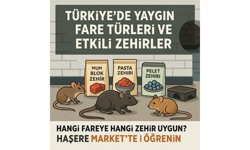 Fare Türleri ve Zehirleri | Türkiye de Yaygın Kemiriciler Hakkında Bilgi