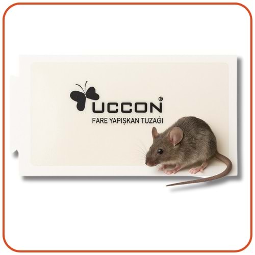 Uccon Karton Fare Yapışkan Tuzakları