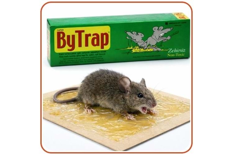 Bytrap Tüp Fare Yapışkan Tuzak | 75 ml