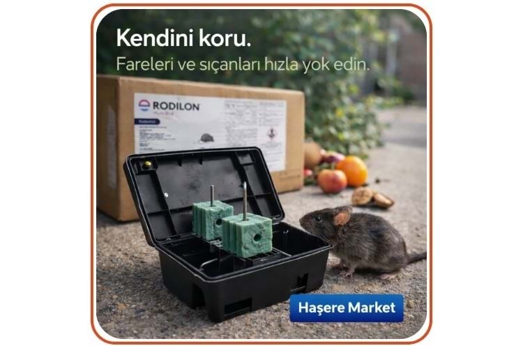 Bayer-Envu Rodilon Mum Blok Fare Zehiri | 250 Gram