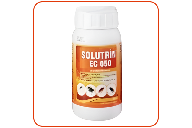 Solutrin EC 050 Kokulu Haşere Öldürücü