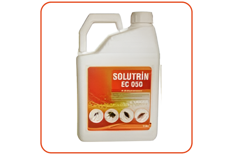 Solutrin EC 050 Kokulu Haşere Öldürücü | 5 Litre