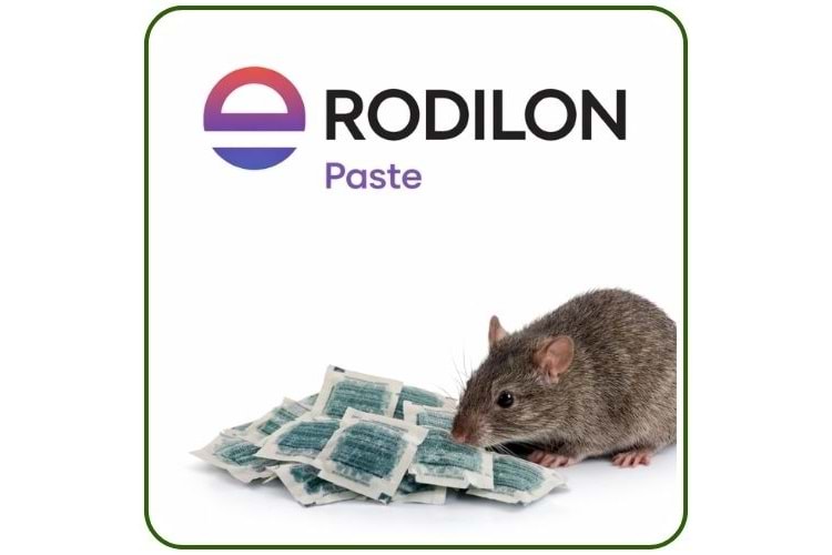 Bayer-Envu Rodilon Pasta Fare Zehiri | 1 Kg