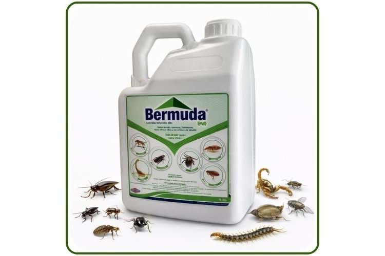 Bermuda EW Kokulu Haşere Öldürücü | 5 Litre