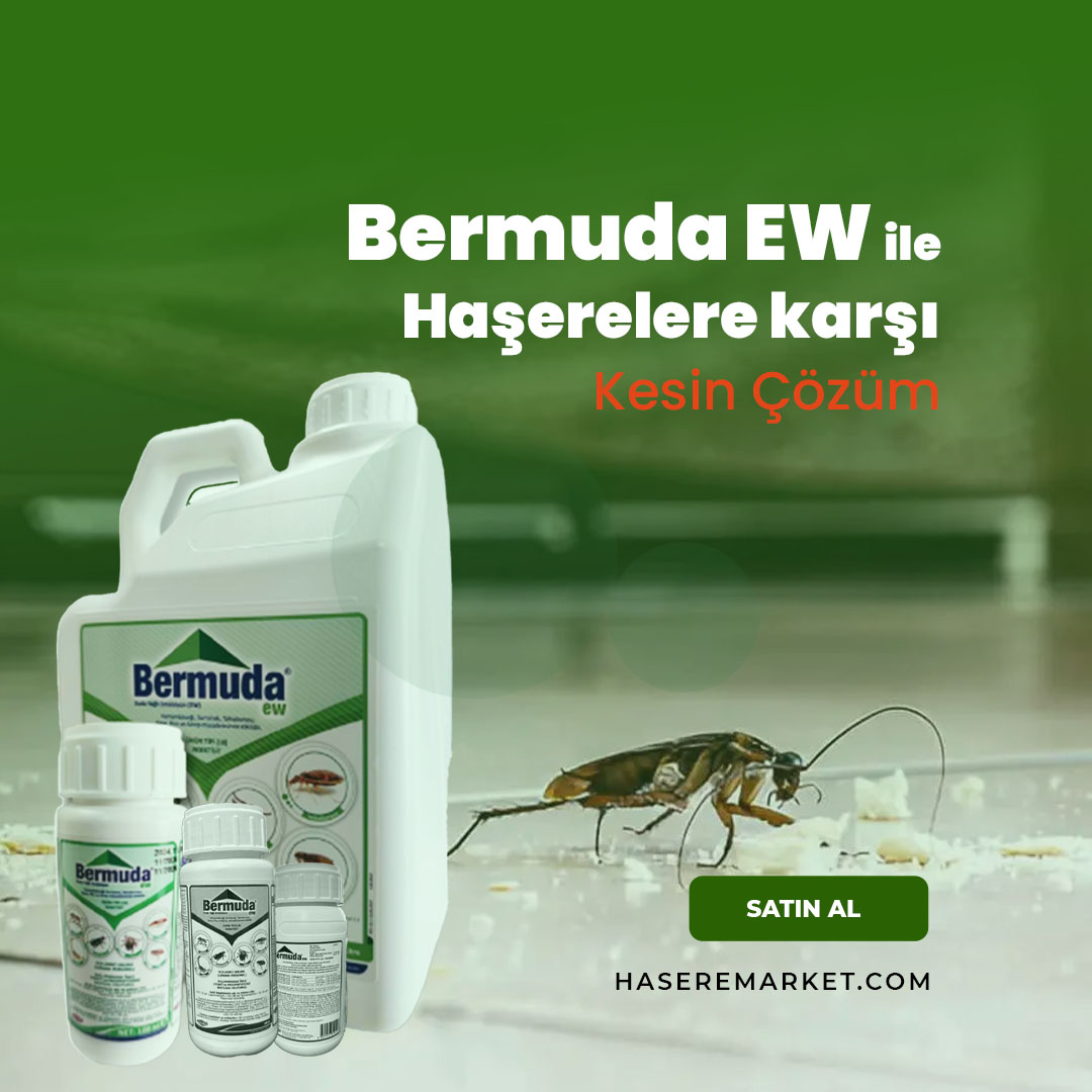 Bermuda Haşere İlacı Nerede Satılır?
