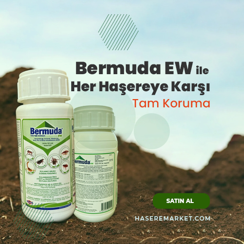Haşerelere Dur Demenin Zamanı Geldi