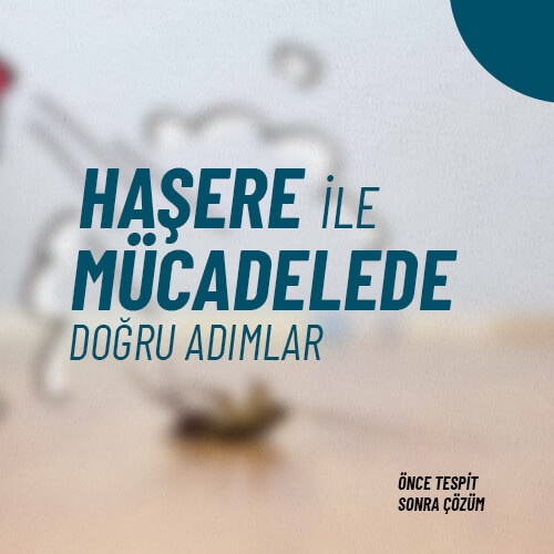 Haşere Market; Fare ve Haşere İlaçları Satış Mağazası ve İlaçlama Hizmetleri | Haşere İlacı Haşere Market ten Alınır!..