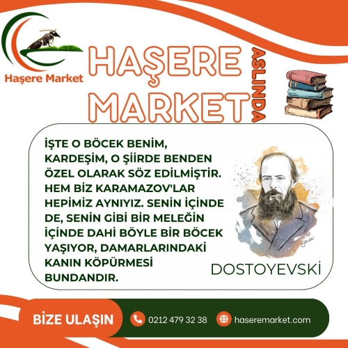 Haşere İlaçları Kullanım Bilgileri | Böcek İlacı Yardım ve Destek Bilgileri | Haşere Market Blog