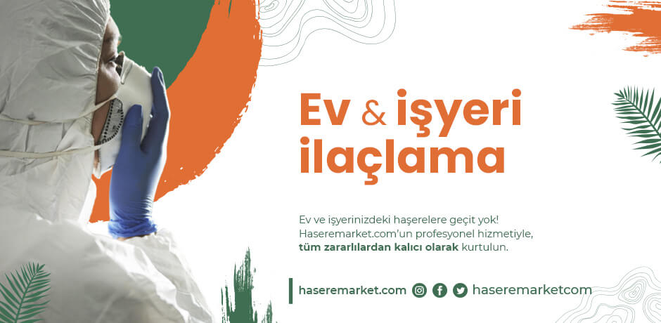 Evde Hamamböceği Nasıl Yok Edilir?