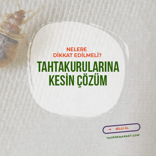 Tahtakurusu Neden Bitmiyor; Neyi Yanlış Yapıyoruz? | Evde Tahtakurusu İstilası Var; Ne Yapılmalı? | En Etkili Tahta Kurusu İlacı Fiyatları ve Çeşitleri |