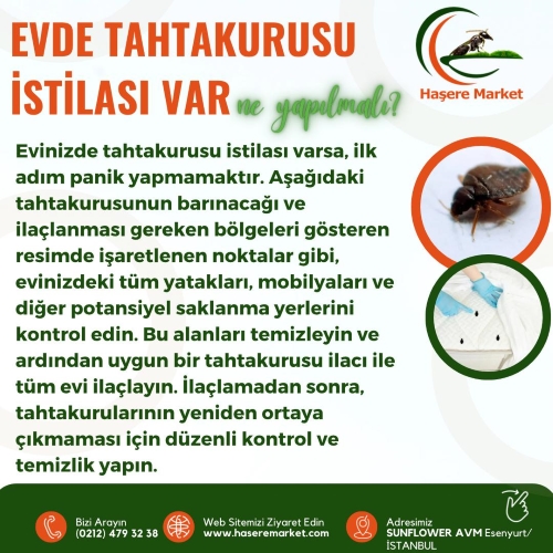 Tahtakurusu Neden Bitmiyor; Neyi Yanlış Yapıyoruz? | Evde Tahtakurusu İstilası Var; Ne Yapılmalı? | En Etkili Tahta Kurusu İlacı Fiyatları ve Çeşitleri |