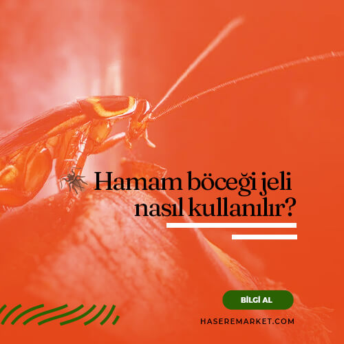 Maxforce jel etkisi ne kadar sürer? | Hamam böceği jeli ise yarıyor mu? | Hamam böceği jeli ne zaman öldürür? |