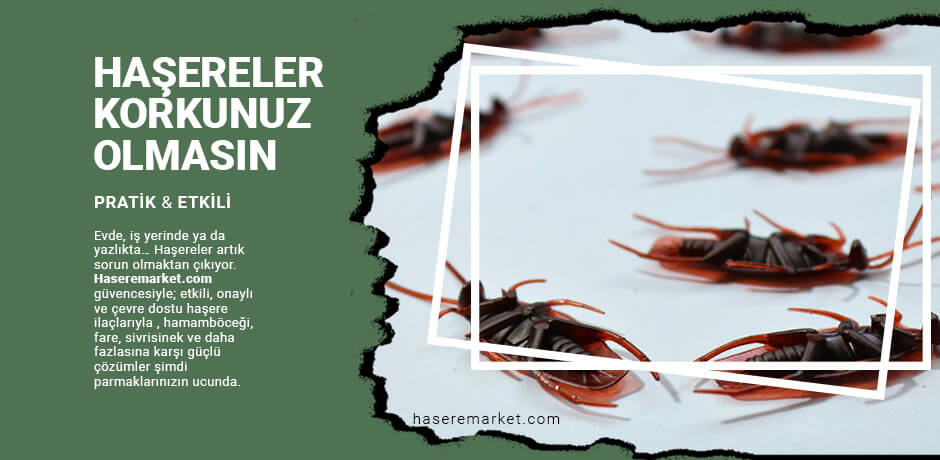 Eczahanelerde Satılan Fare Zehirleri Nelerdir