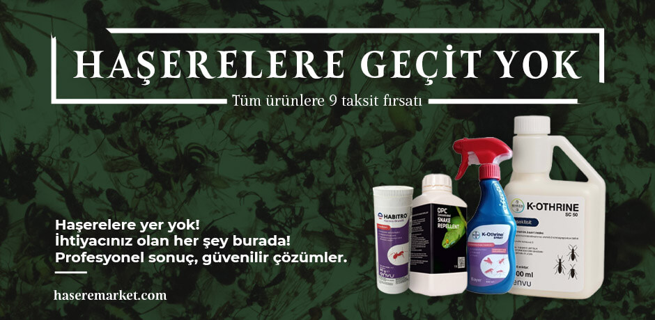 Evde Böcekleri ortadan kaldırmak için gerekli böcek ilaçları satın alın